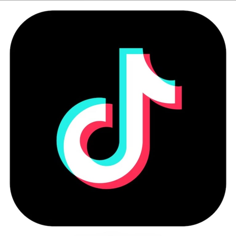Partner logo 1